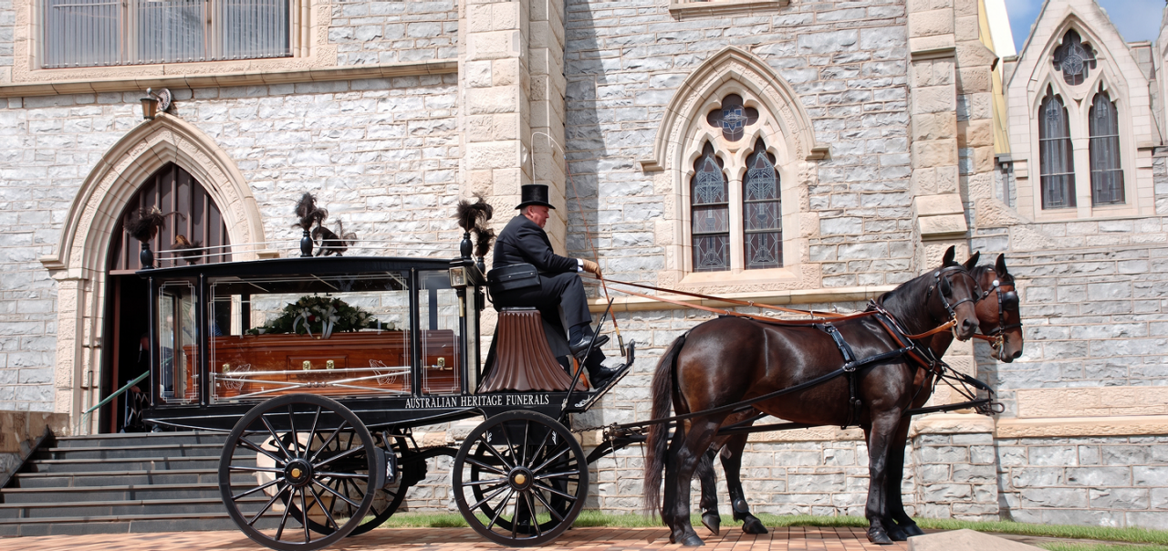 horse with coach