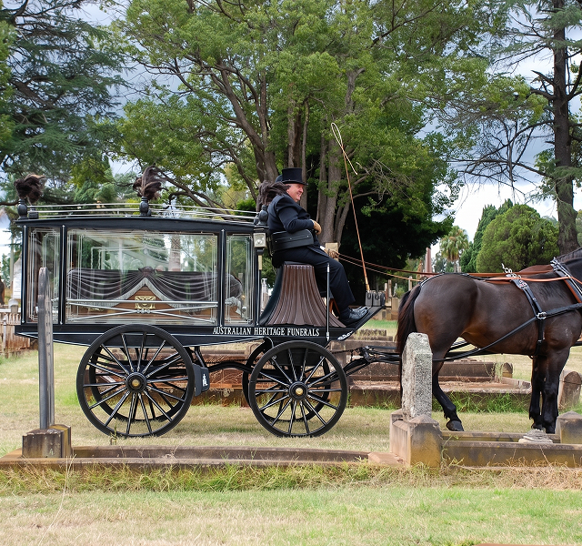 coach led by horse