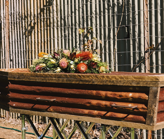 coffin