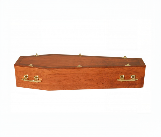 Cardboard Coffin