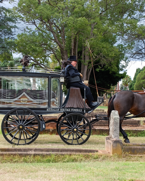horse with coach